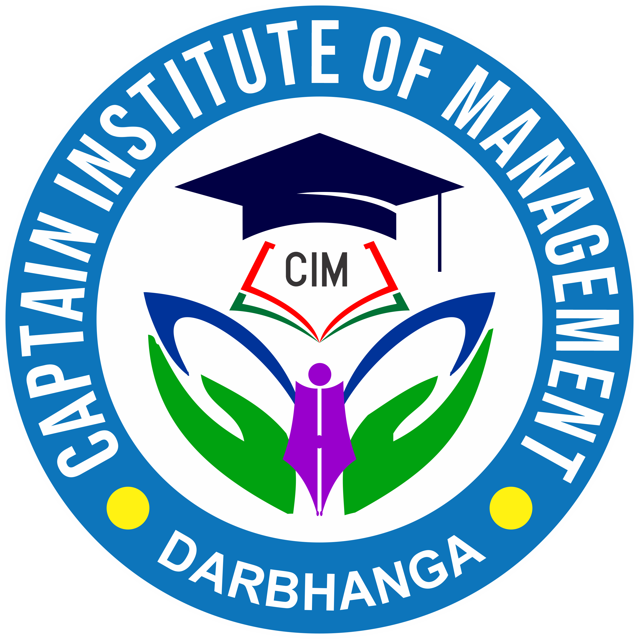 CIM Logo